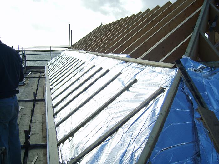8 Roof Windows & Doors (1)